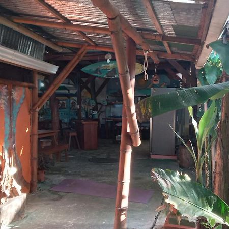 Puerto Jiménez Osa Surf House酒店 外观 照片