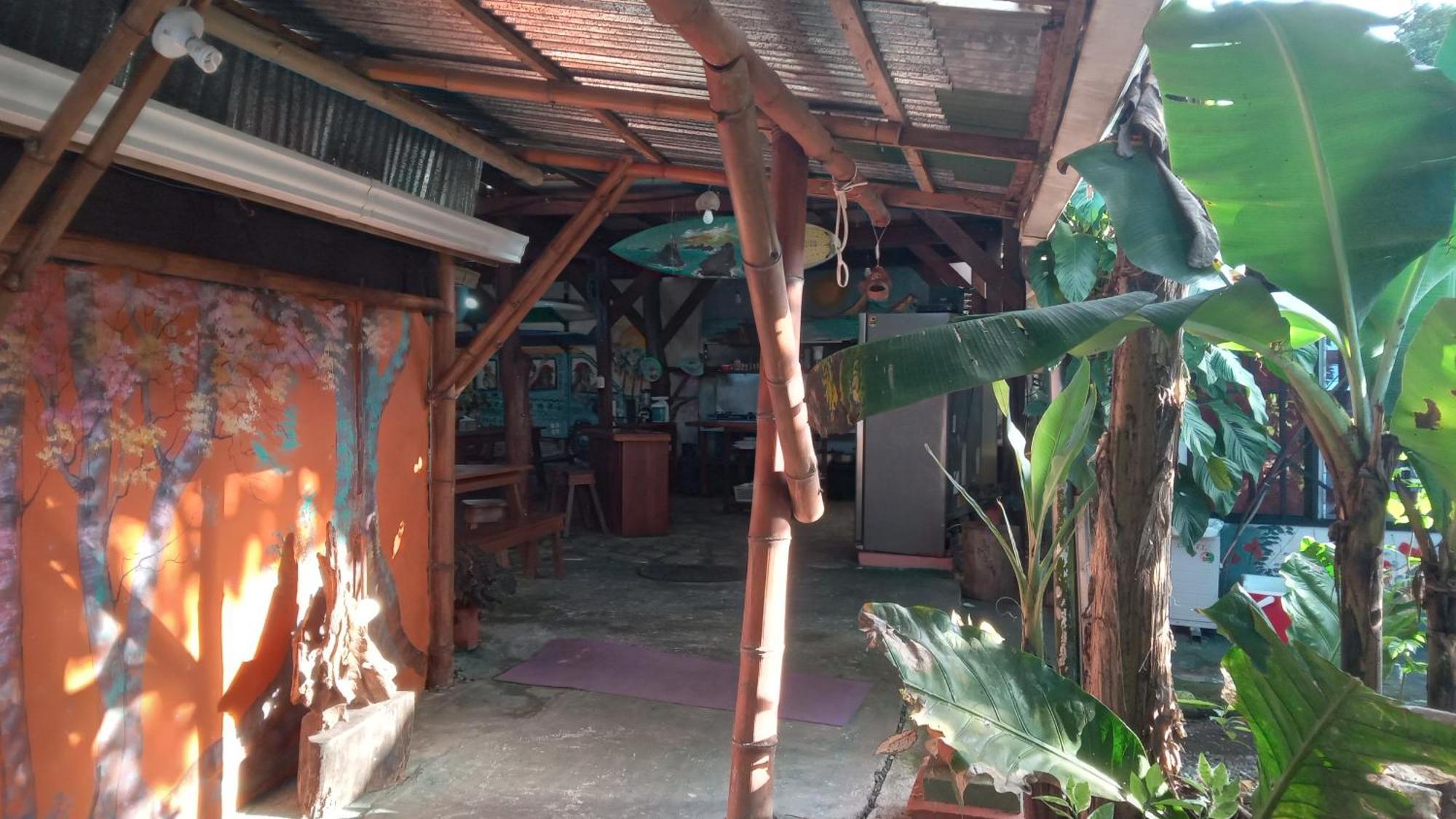 Puerto Jiménez Osa Surf House酒店 外观 照片